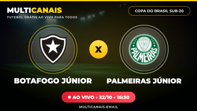 Banner Botafogo Júnior x Palmeiras Júnior