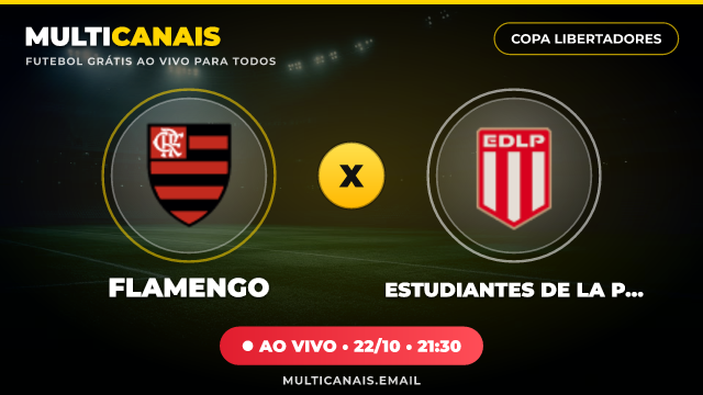 Banner Flamengo x Estudiantes de La Plata