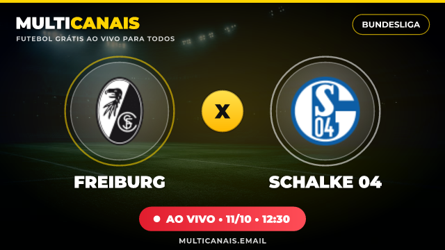 Banner Freiburg x Schalke 04