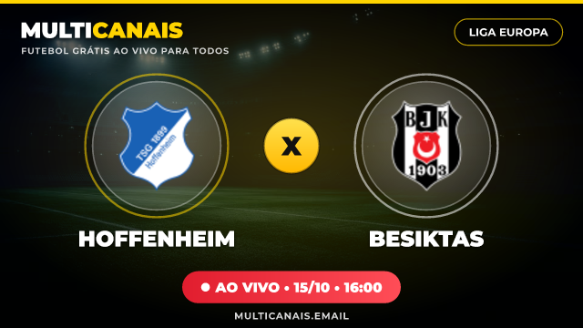 Banner Hoffenheim x Besiktas