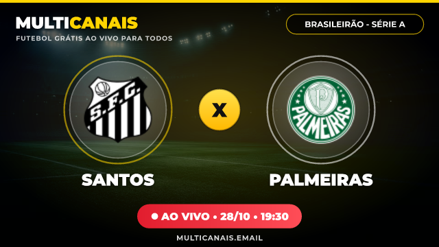 Banner Santos x Palmeiras