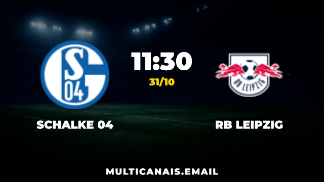 Banner Schalke 04 x RB Leipzig