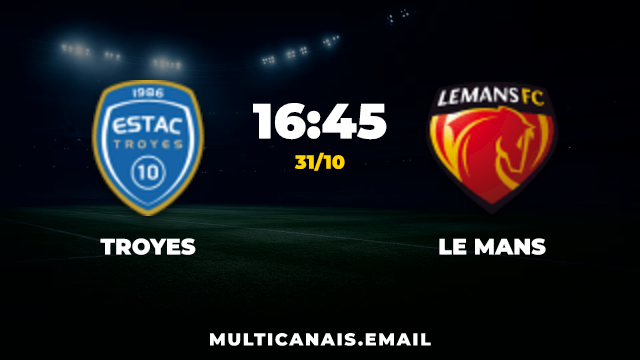 Banner Troyes x Le Mans