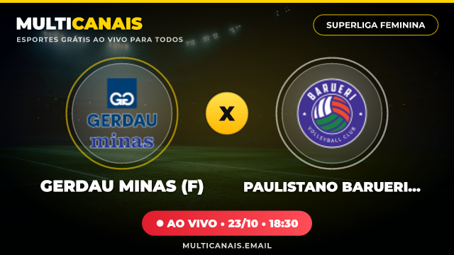 Banner Gerdau Minas (F) x Paulistano Barueri (F)